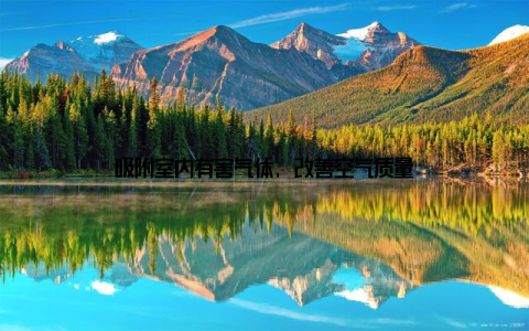 吸附室内有害气体, 改善空气质量