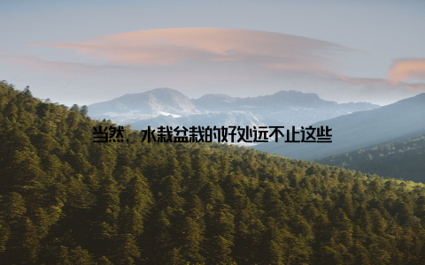 当然, 水栽盆栽的好处远不止这些