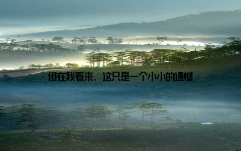 但在我看来, 这只是一个小小的遗憾