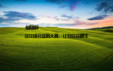 这次组合盆栽大赛, 让我收获颇丰