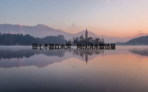 田七不喜欢水涝, 所以浇水要适量