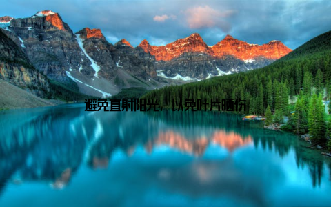 避免直射阳光, 以免叶片晒伤