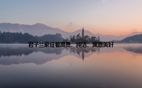 君子兰象征着高贵、纯洁, 寓意美好