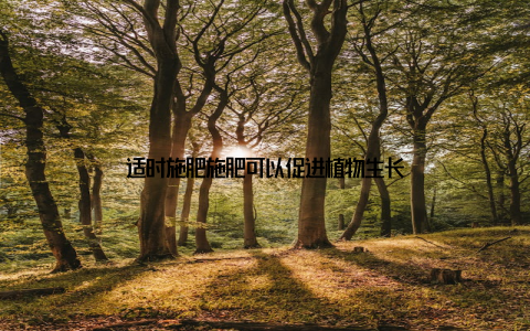 适时施肥施肥可以促进植物生长