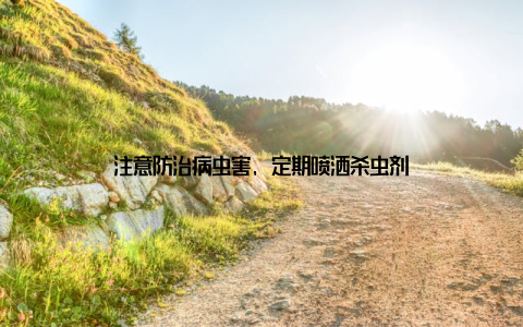 注意防治病虫害, 定期喷洒杀虫剂