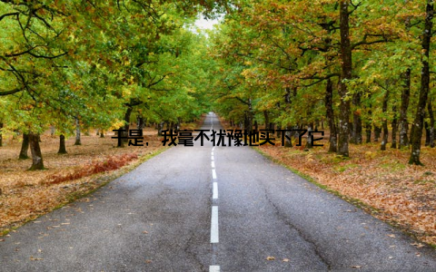 于是, 我毫不犹豫地买下了它