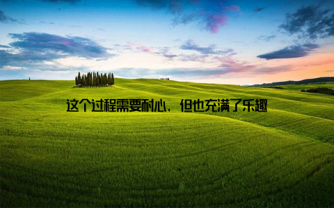 这个过程需要耐心, 但也充满了乐趣