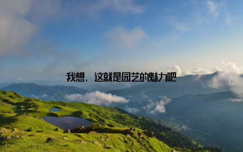 我想, 这就是园艺的魅力吧