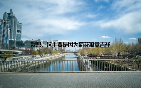 我想, 这主要是因为菊花寓意吉祥