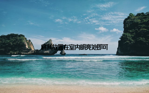 将其放置在室内明亮处即可