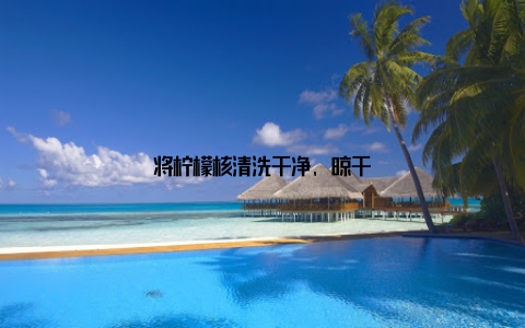 将柠檬核清洗干净, 晾干