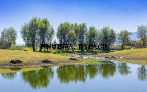 养好盆栽花卉, 肥料是关键