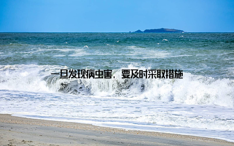 一旦发现病虫害, 要及时采取措施