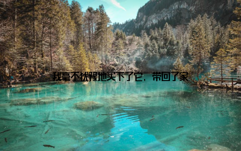 我毫不犹豫地买下了它, 带回了家