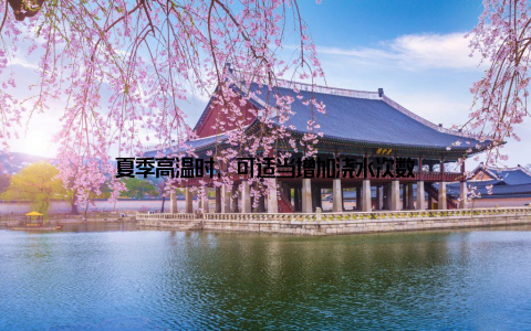 夏季高温时, 可适当增加浇水次数