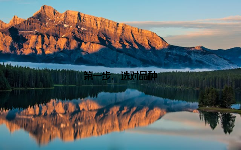 第一步, 选对品种