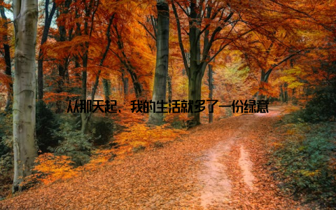 从那天起, 我的生活就多了一份绿意