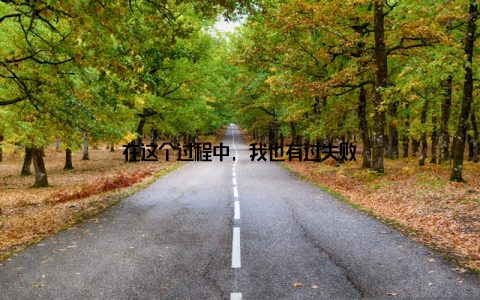 在这个过程中, 我也有过失败