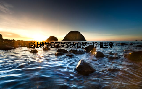 它让我学会了关爱大自然、珍惜生命