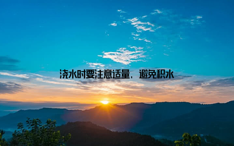 浇水时要注意适量, 避免积水