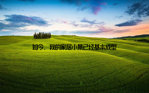 如今, 我的家居小景已经基本成型