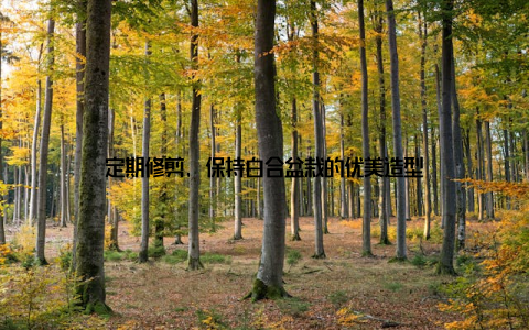 定期修剪, 保持白合盆栽的优美造型