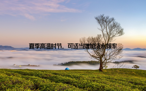 夏季高温时节, 可适当增加浇水频率