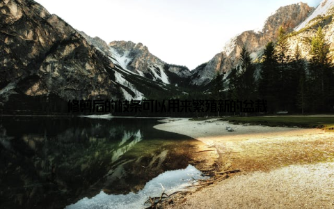 修剪后的枝条可以用来繁殖新的盆栽