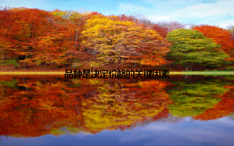 品种是决定价格的关键因素