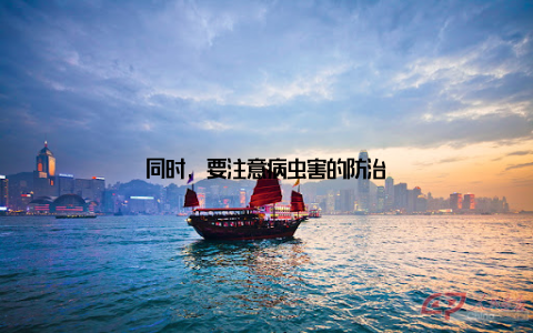 同时, 要注意病虫害的防治