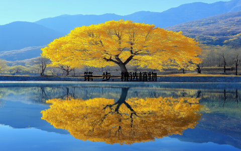 第一步, 挑选植物