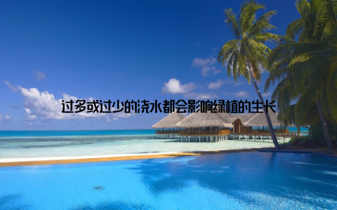 过多或过少的浇水都会影响绿植的生长