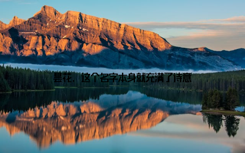 昙花, 这个名字本身就充满了诗意