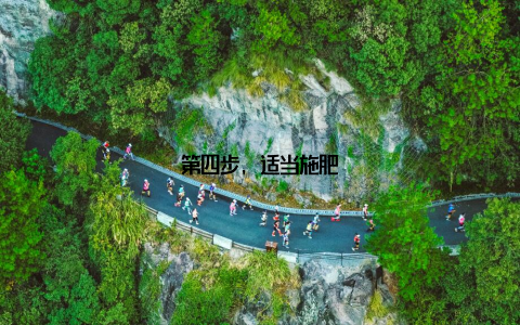 第四步, 适当施肥