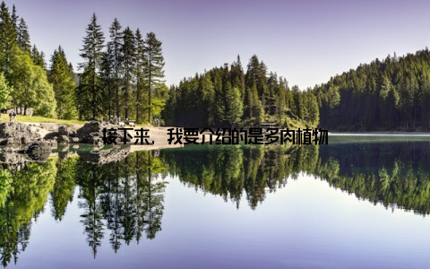 接下来, 我要介绍的是多肉植物