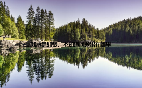 我心急如焚, 不知道问题出在哪里