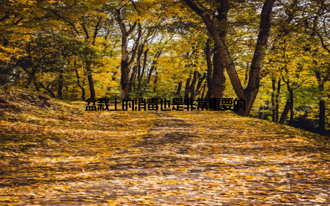 盆栽土的消毒也是非常重要的