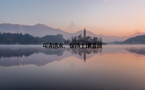 4浇透水, 保持土壤湿润