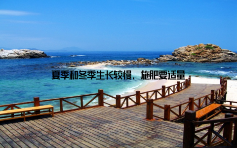 夏季和冬季生长较慢, 施肥要适量