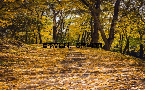 夏季高温时, 要适当遮荫