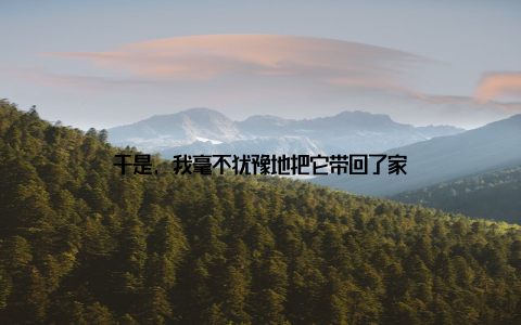 于是, 我毫不犹豫地把它带回了家