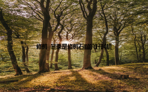 修剪 冬季是修剪石榴的好时机