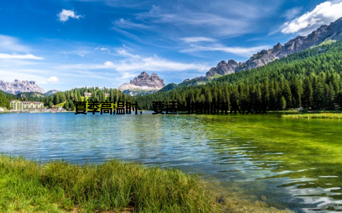 夏季高温时, 要适当增加浇水次数